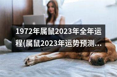 <h3>1972年属鼠2025年全年运程(属鼠2025年运势预测)