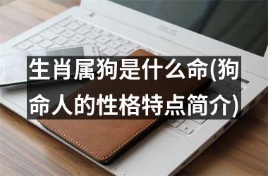 <h3>生肖属狗是什么命(狗命人的性格特点简介)