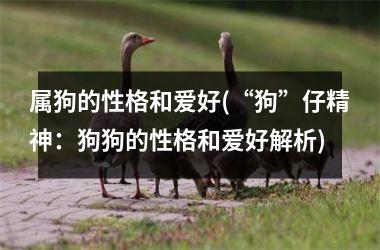 <h3>属狗的性格和爱好(“狗”仔精神：狗狗的性格和爱好解析)