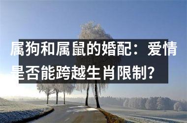 <h3>属狗和属鼠的婚配：爱情是否能跨越生肖限制？
