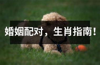 <h3>婚姻配对，生肖指南！