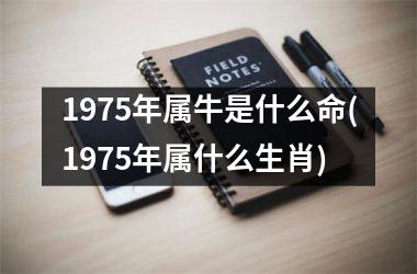 <h3>1975年属牛是什么命(1975年属什么生肖)