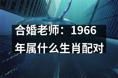 <h3>合婚老师：1966年属什么生肖配对