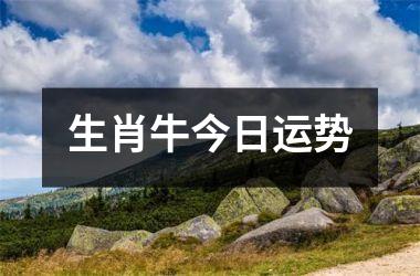 <h3>生肖牛今日运势