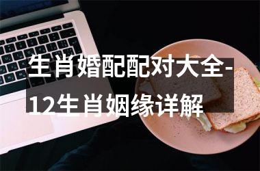 <h3>生肖婚配配对大全-12生肖姻缘详解