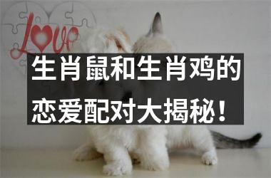 生肖鼠和生肖鸡的恋爱配对大揭秘！