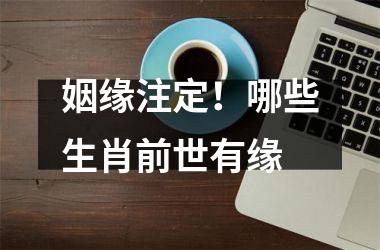 <h3>姻缘注定！哪些生肖前世有缘