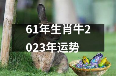 61年生肖牛2025年运势