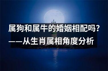 <h3>属狗和属牛的婚姻相配吗？——从生肖属相角度分析