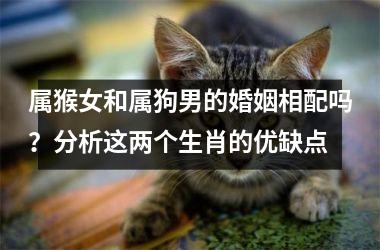 <h3>属猴女和属狗男的婚姻相配吗？分析这两个生肖的优缺点
