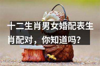 <h3>十二生肖男女婚配表生肖配对，你知道吗？
