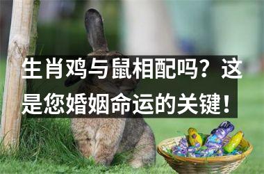 <h3>生肖鸡与鼠相配吗？这是您婚姻命运的关键！