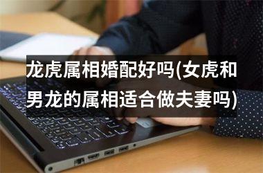 龙虎属相婚配好吗(女虎和男龙的属相适合做夫妻吗)