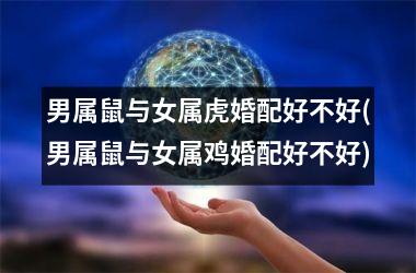 <h3>男属鼠与女属虎婚配好不好(男属鼠与女属鸡婚配好不好)