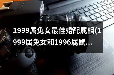 <h3>1999属兔女佳婚配属相(1999属兔女和1996属鼠男结婚)