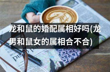 <h3>龙和鼠的婚配属相好吗(龙男和鼠女的属相合不合)