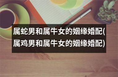 <h3>属蛇男和属牛女的姻缘婚配(属鸡男和属牛女的姻缘婚配)