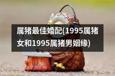 <h3>属猪佳婚配(1995属猪女和1995属猪男姻缘)