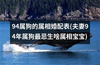 <h3>94属狗的属相婚配表(夫妻94年属狗忌生啥属相宝宝)