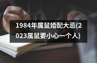 <h3>1984年属鼠婚配大忌(2025属鼠要小心一个人)