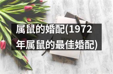 <h3>属鼠的婚配(1972年属鼠的佳婚配)