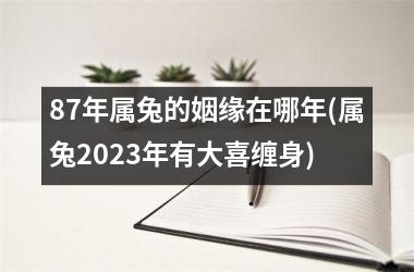 <h3>87年属兔的姻缘在哪年(属兔2025年有大喜缠身)