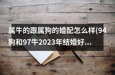 <h3>属牛的跟属狗的婚配怎么样(94狗和97牛2025年结婚好吗)