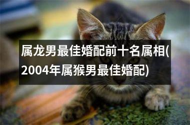 <h3>属龙男最佳婚配前十名属相(2004年属猴男最佳婚配)