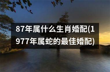 87年属什么生肖婚配(1977年属蛇的最佳婚配)