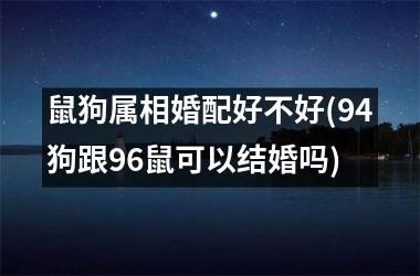 鼠狗属相婚配好不好(94狗跟96鼠可以结婚吗)