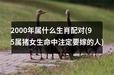 <h3>2000年属什么生肖配对(95属猪女生命中注定要嫁的人)