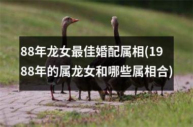 <h3>88年龙女最佳婚配属相(1988年的属龙女和哪些属相合)