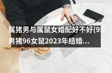 <h3>属猪男与属鼠女婚配好不好(95男猪96女鼠2025年结婚好吗)