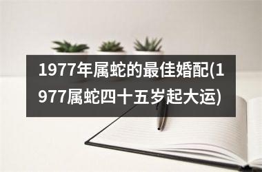 <h3>1977年属蛇的最佳婚配(1977属蛇四十五岁起大运)