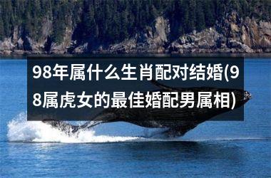 <h3>98年属什么生肖配对结婚(98属虎女的最佳婚配男属相)