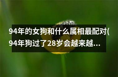 <h3>94年的女狗和什么属相最配对(94年狗过了28岁会越来越好)