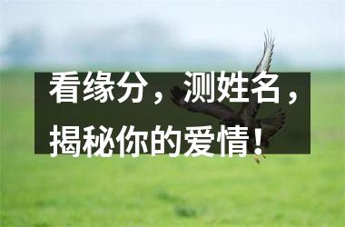 <h3>看缘分，测姓名，揭秘你的爱情！