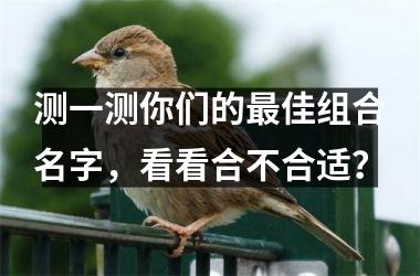 <h3>测一测你们的佳组合名字，看看合不合适？