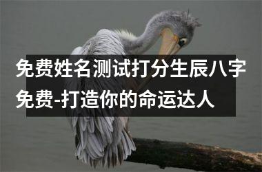 <h3>免费姓名测试打分生辰八字免费-打造你的命运达人