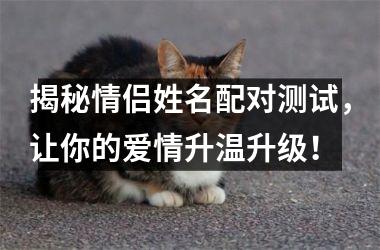 <h3>揭秘情侣姓名配对测试，让你的爱情升温升级！