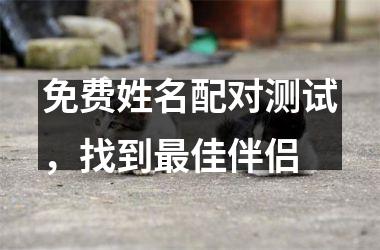 <h3>免费姓名配对测试，找到佳伴侣