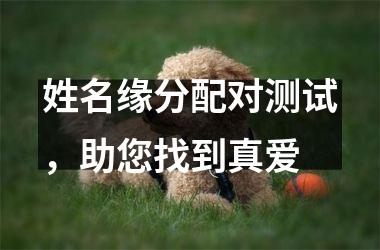 <h3>姓名缘分配对测试，助您找到真爱