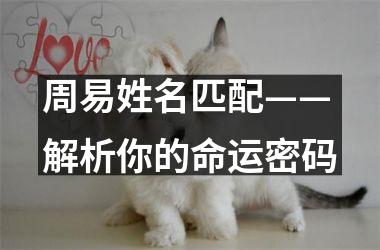 <h3>周易姓名匹配——解析你的命运密码