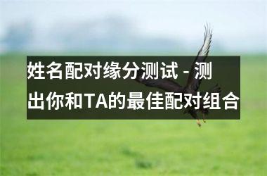 <h3>姓名配对缘分测试 - 测出你和TA的佳配对组合