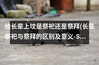 <h3>给长辈上坟是祭祀还是祭拜(长辈祭祀与祭拜的区别及意义-SEO标题)
