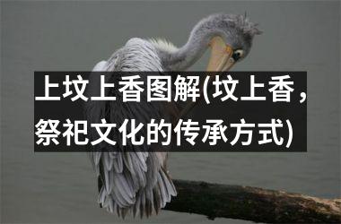 <h3>上坟上香图解(坟上香，祭祀文化的传承方式)