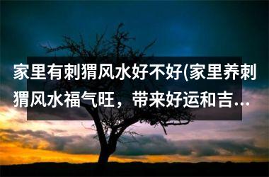 <h3>家里有刺猬风水好不好(家里养刺猬风水福气旺，带来好运和吉祥)