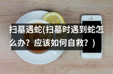 <h3>扫墓遇蛇(扫墓时遇到蛇怎么办？应该如何自救？)