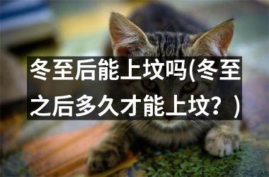 <h3>冬至后能上坟吗(冬至之后多久才能上坟？)