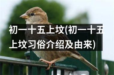 初一十五上坟(初一十五上坟习俗介绍及由来)